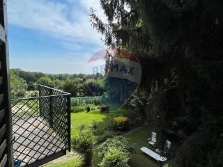 Vista