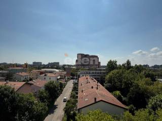 Vista
