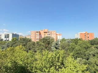 Vista