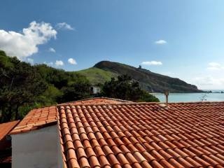 Vista