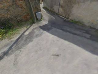 Zona