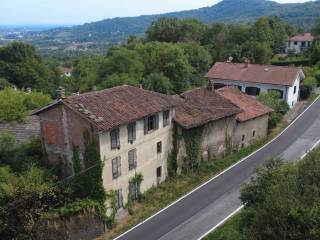 Vista