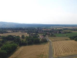 Vista