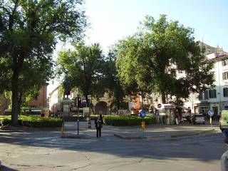 Zona