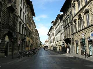 Zona