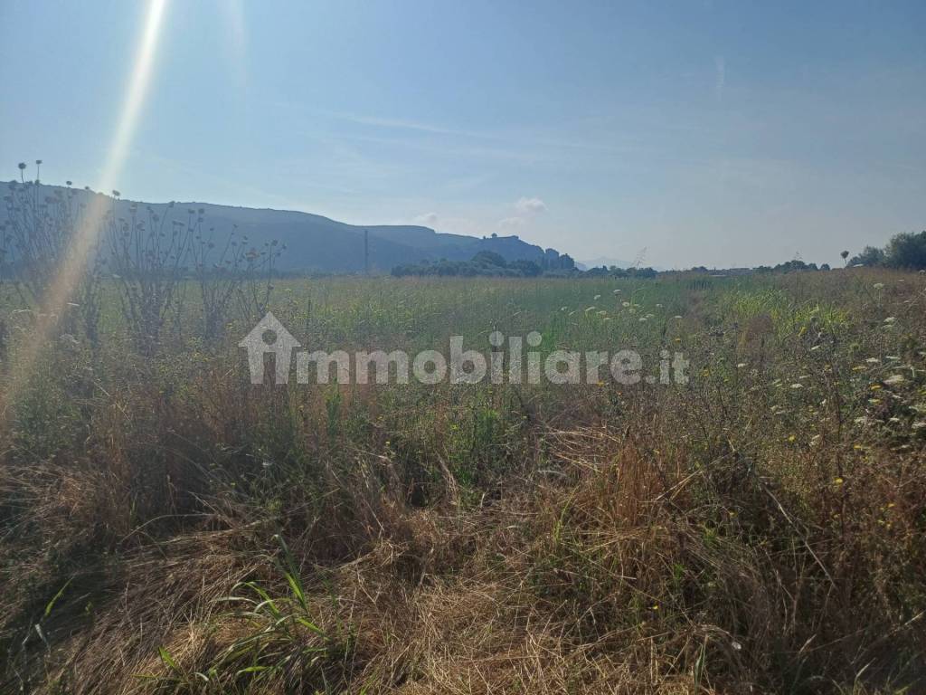 Terreno