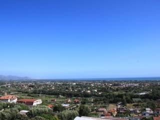 Vista
