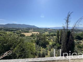 Vista