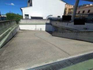 Zona