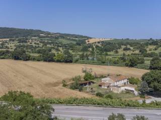 Vista