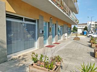 Ingresso