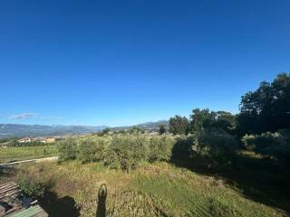 Vista