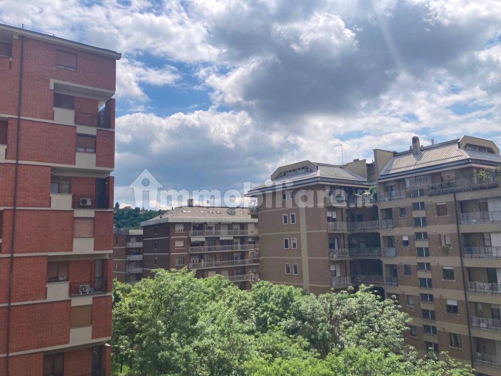 Stanza doppia in Nizza Millefonti, foto 14 di 23