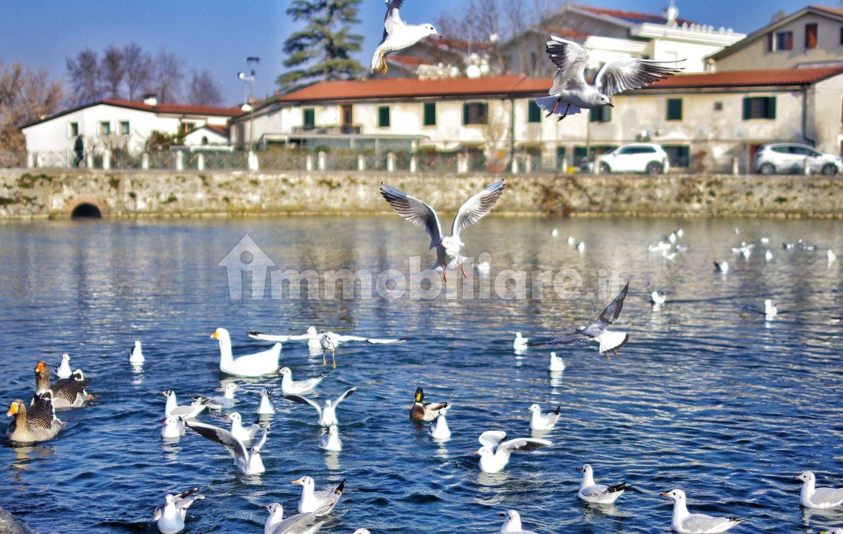 Appartamento in vendita a Verona