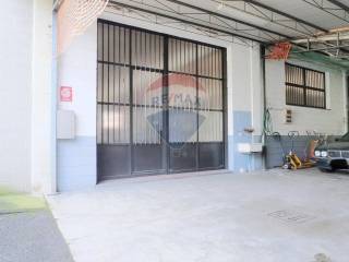 Ingresso