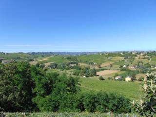 Vista