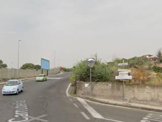 Zona