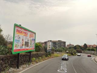 Zona