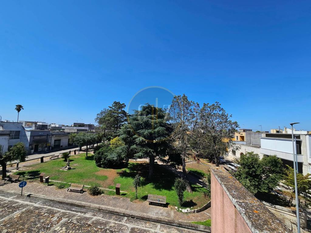 Vista