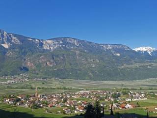 Vista
