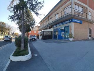 Zona
