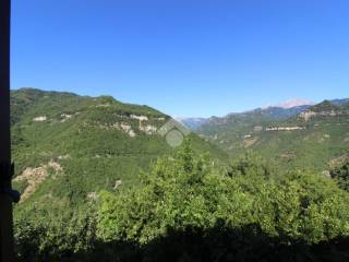 Vista