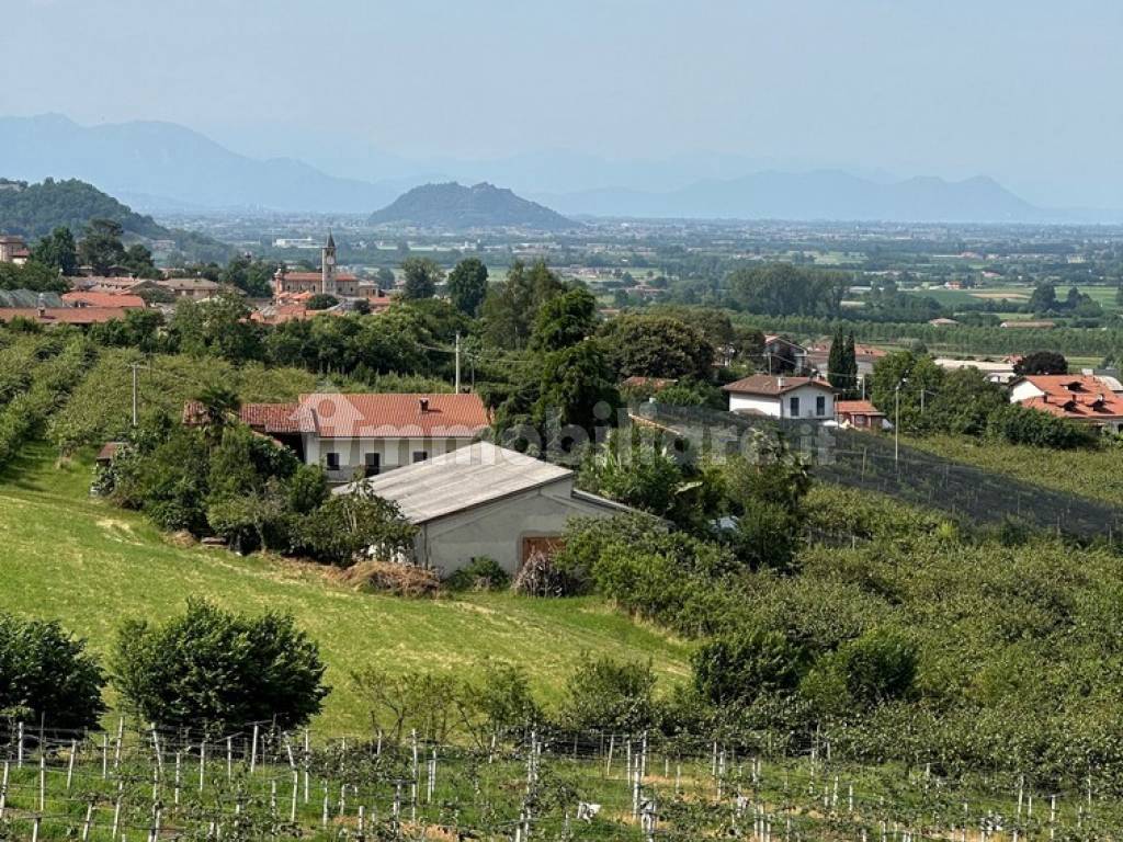 Vista