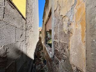 Zona