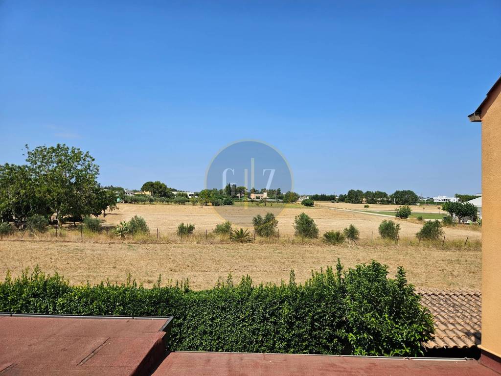 Vista