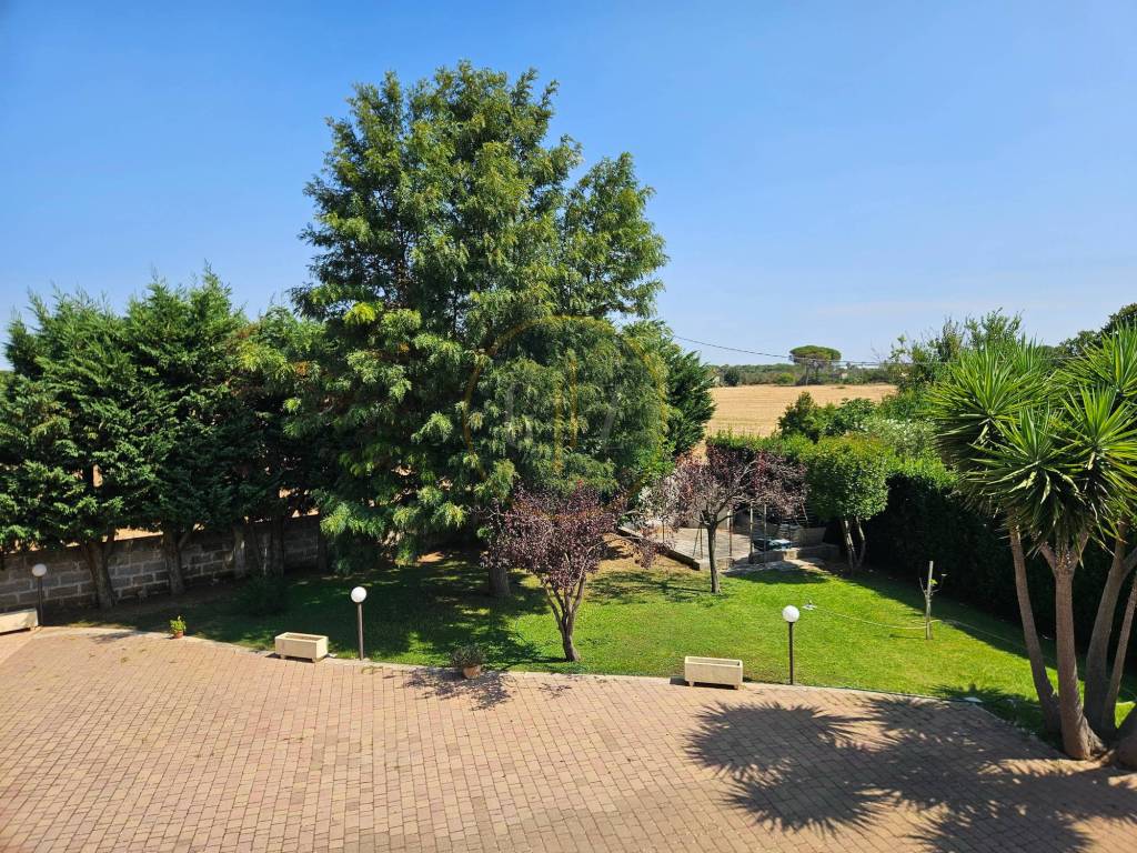 Giardino