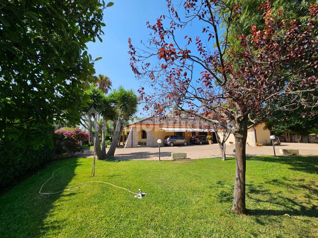 Giardino