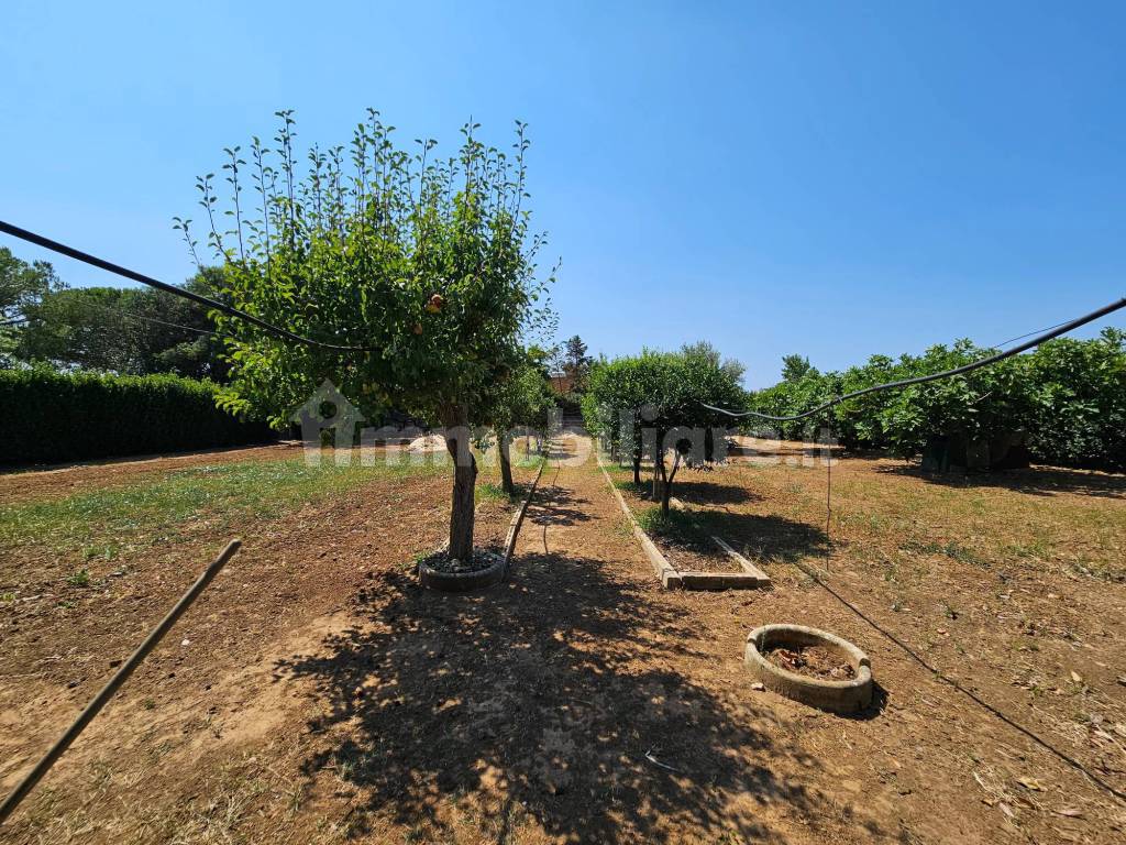Terreno