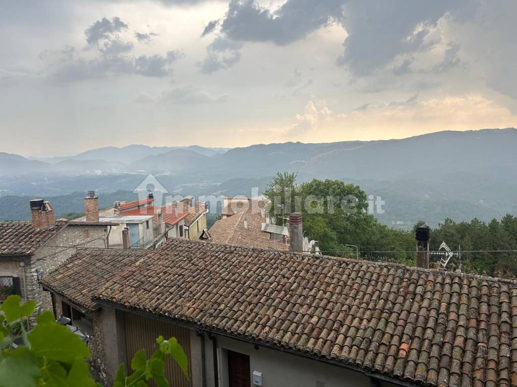 Vista