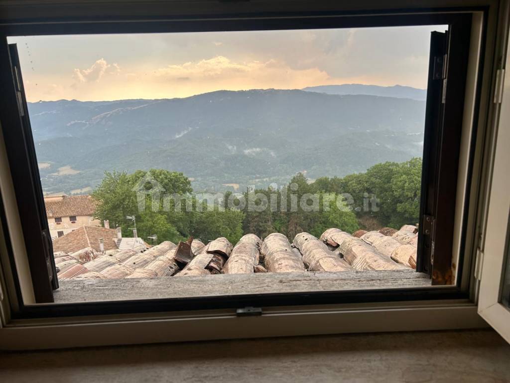 Vista