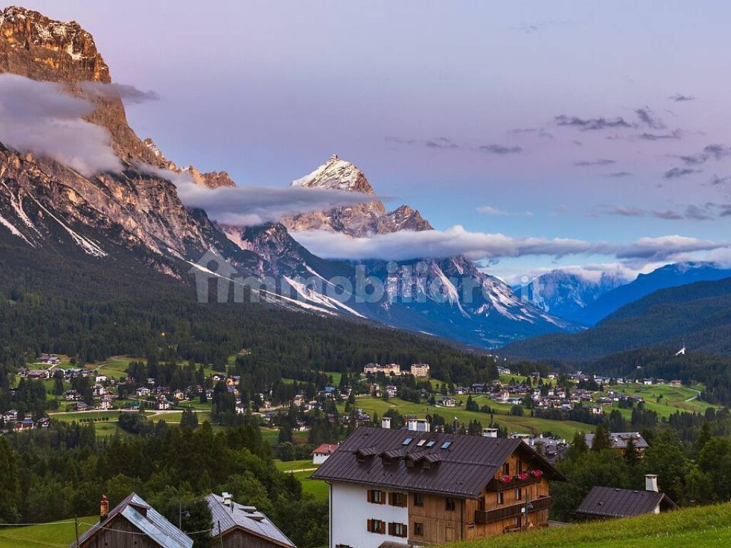Vista