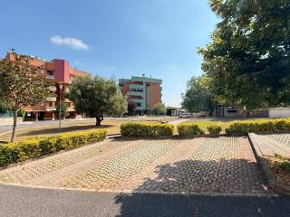 Zona