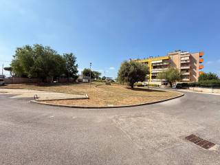 Zona