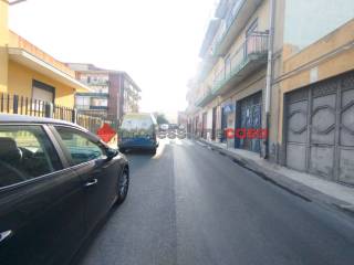 Zona
