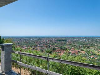 Vista