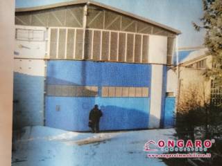 Zona