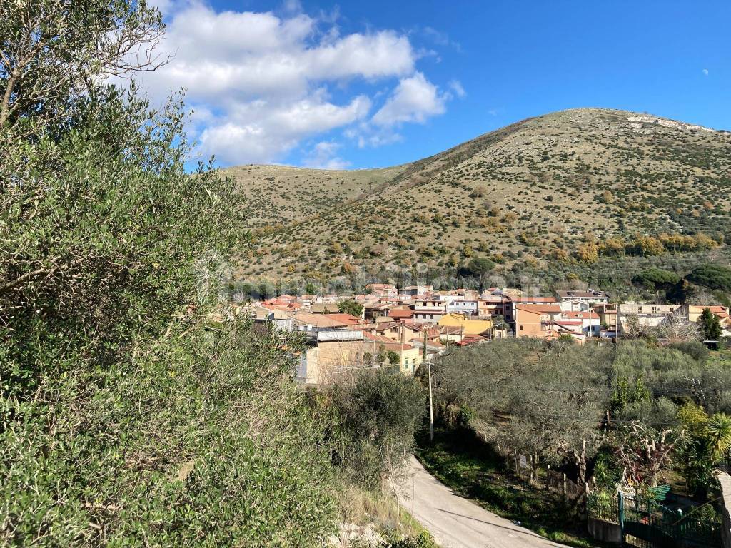 Vista