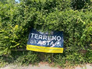Zona