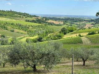 Vista