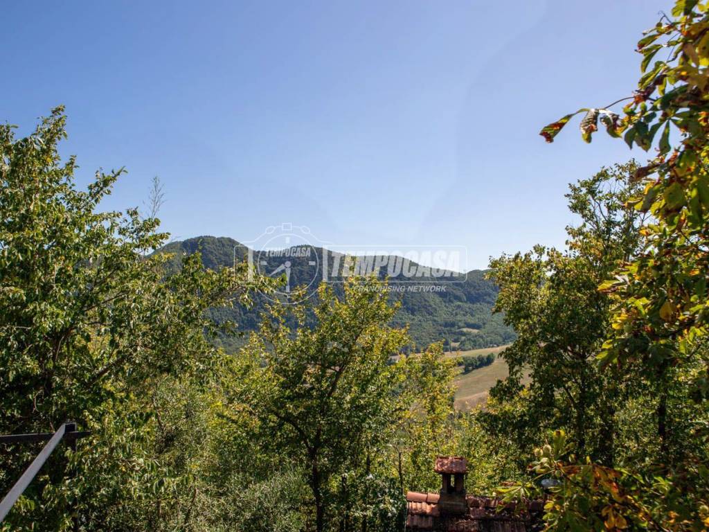 Vista