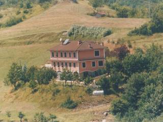 Vista