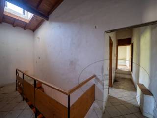 Scala