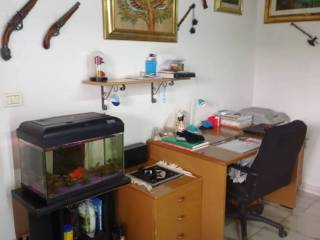 Studio