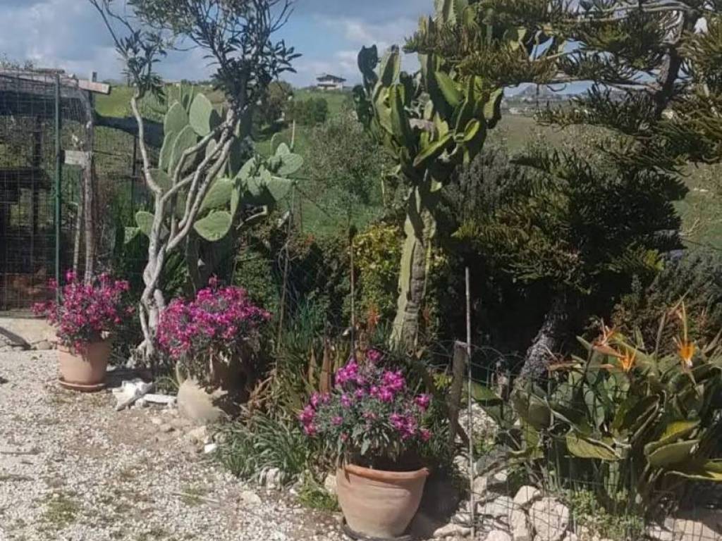 Terreno