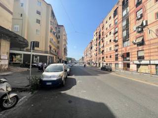 Zona