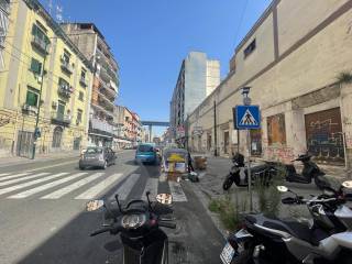 Zona